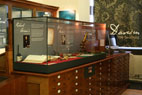 Sedgwick Museum of Earth Sciences