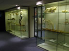 Royal Veterinary College-07